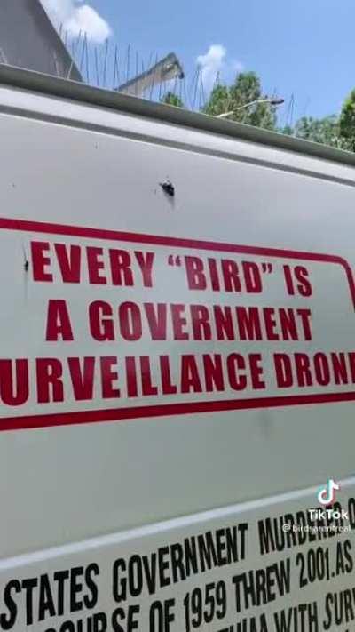 When r/HRSPRS and r/Birdsarentreal meet