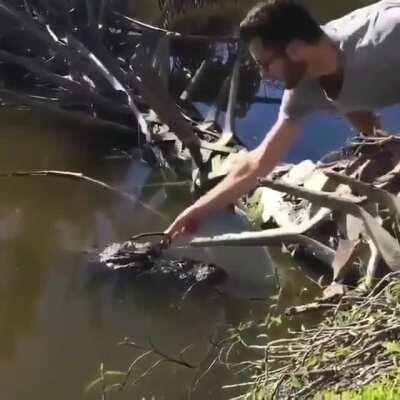 Alli-glasses amirite!?