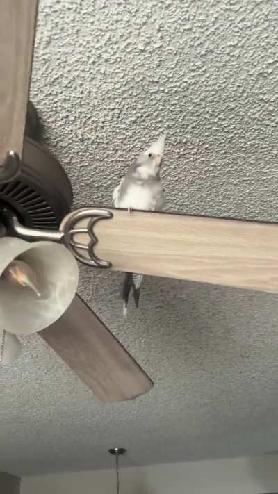 does it count if feet are grabbies?