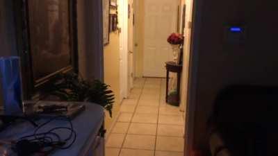 Mimic of my 10 yr old brother saying “mom”. Dad was home alone trying to record his dog playing fetch. “He’s Not tech inclined”. Just happened to catch a voice. House was always very creepy growing up. We have all experienced our own “activity”.
