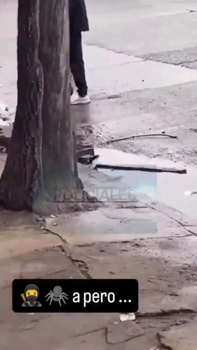 El battousai de la matanza