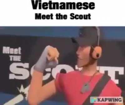 Vietnamese scout