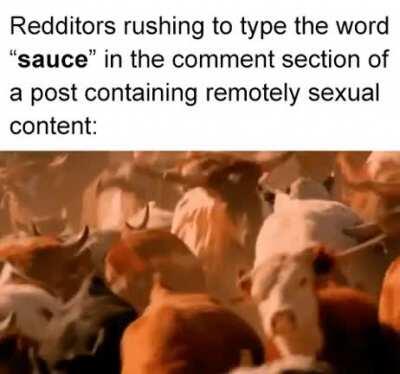sauce please