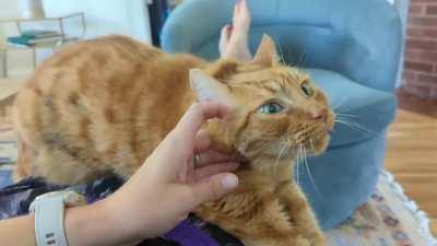 apparently cell departure looks a lot like an exorcism