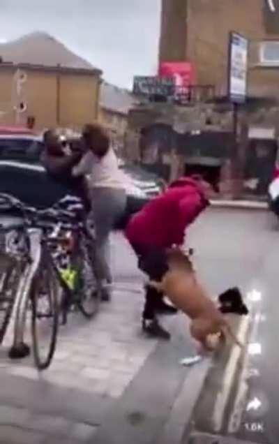 Woman walking Pitbull assists lady getting mugged; dog ends up attacking victim, then owner while mugger runs away.