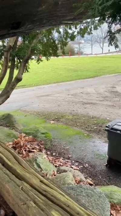 We were busy in the park 😝 [gif]