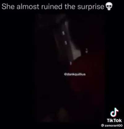 The main character nearly gives the surprise away.