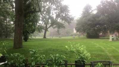 Peppers getting some love