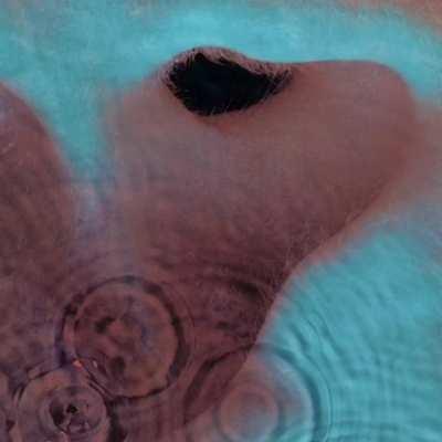 Dont worry guys hes fine now