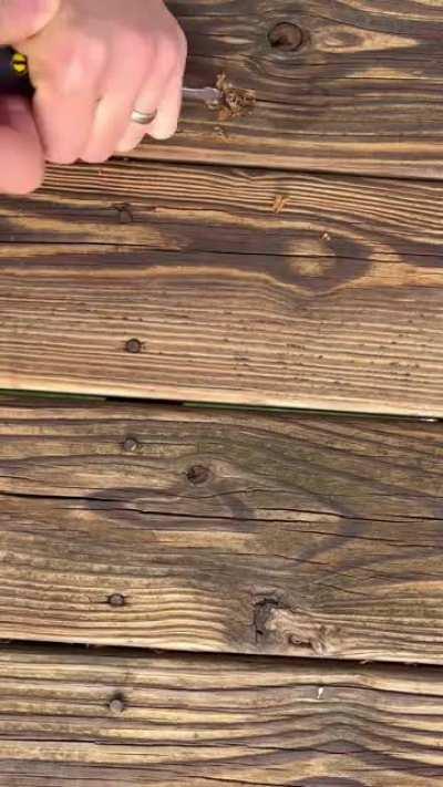 New Years gift. Digging out a rifle round from my deck.