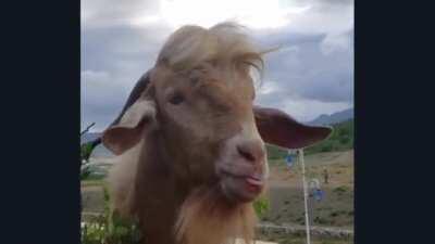 Жаркий спор на политические темы. (ЗВУК)