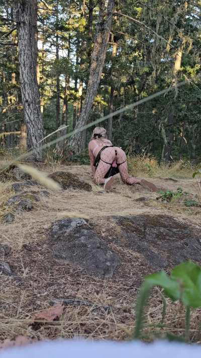 imagine it like pokemon go but instead its a bunch sissy trainers running around catching horny sluts in the wild 😆😇