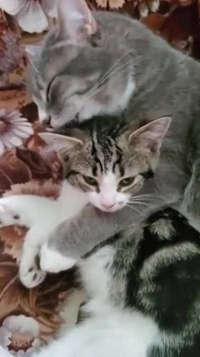 I can't deal with how cute these two are 😍