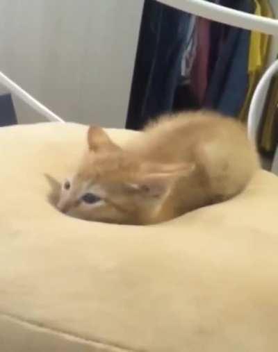 Please buckle your seat belts, because we're taking off.