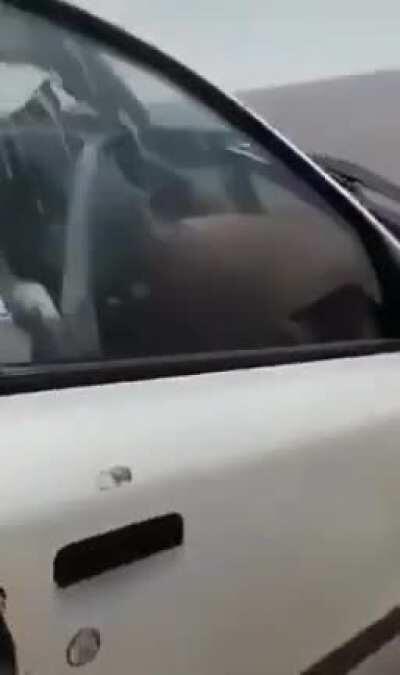 Car Crashes Into Camel