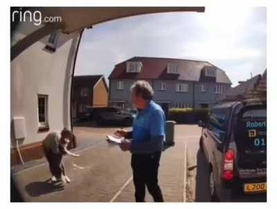 This lady saved her dog that jumped off the window.