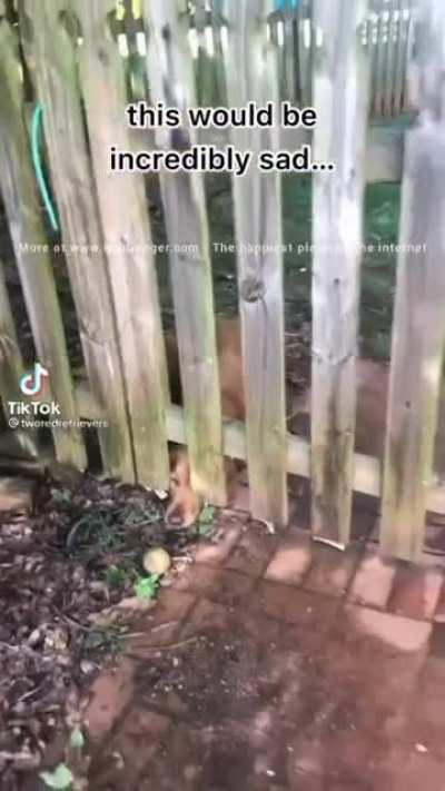 Just go out and get your ball