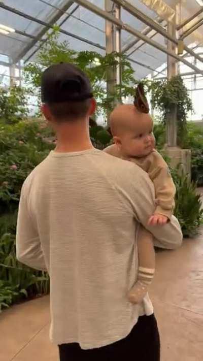 Butterfly be like “god I love new baby smell”