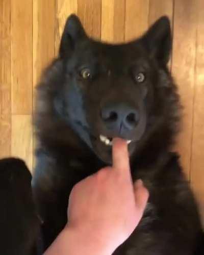 They call him the finger muncher