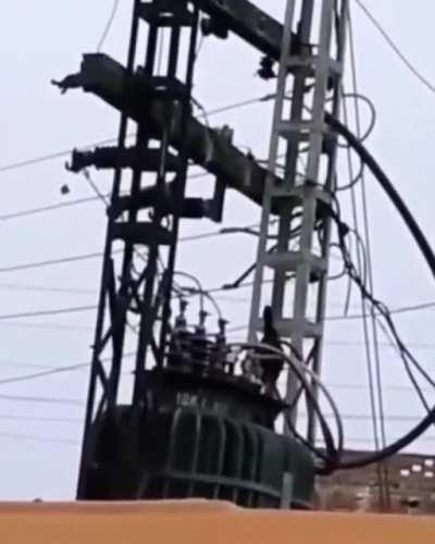 This chicken shouldn't be there