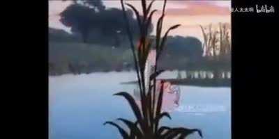 Japanese tom and jerry (it is real)