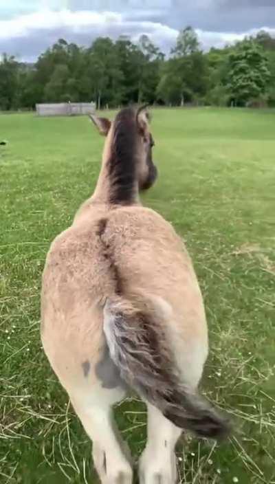 More, more, more please!