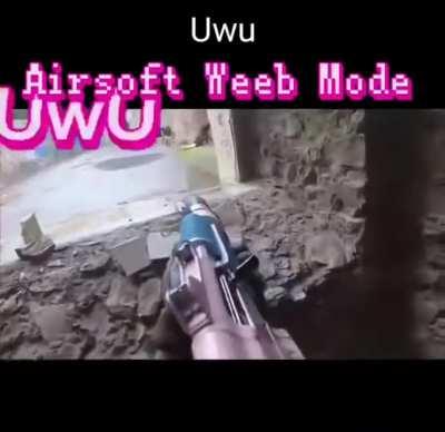 The 2nd Anime-ndment