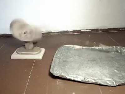 A miracle of modern technology