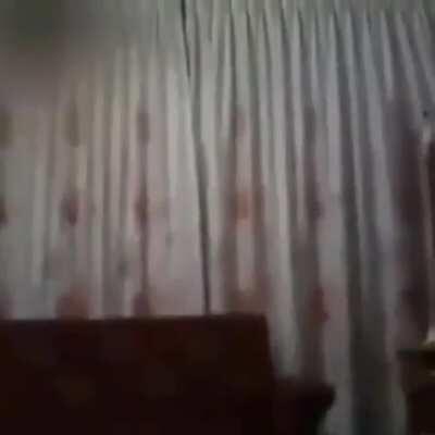 To Harlem shake (with sound)