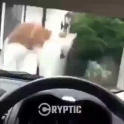 ( insert title here)