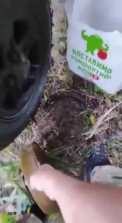 Why am I not surprised?