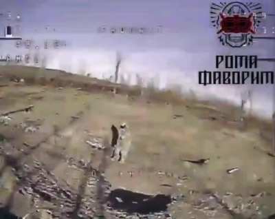 Russian soldiers try to fend off a Ukrainian FPV drone with wooden planks