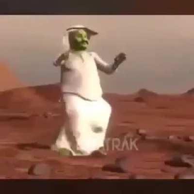 The good Shrek version