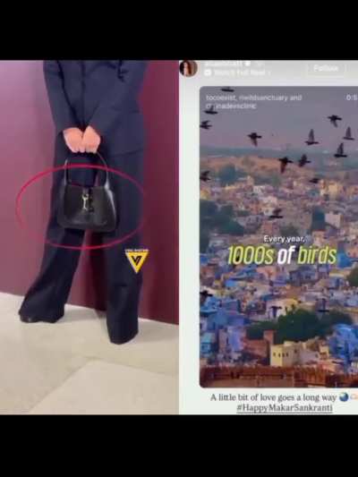 Supporting animal rights is commendable, but why do celebrities conveniently overlook their own hypocrisy?