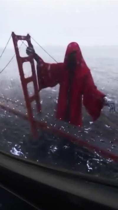 [_________________________________________]