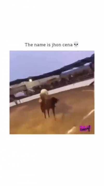 Dude that was horse cena