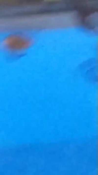 Fernet percentages are 30% spider 70% chaos