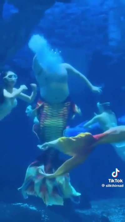 blursed mermaids