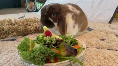 Happy 4th Birthday to my sweet little Fitz!