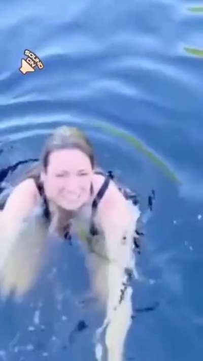 HMC while I go for a swim