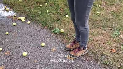 Apples for apple pie