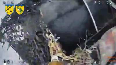 Ukrainian 124th TDF Battalion of the 113th TDF Brigade destroyed a Russian armored vehicle in the Vovchansk direction. January 2025