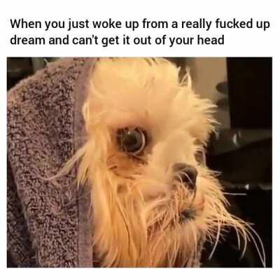 Well that was traumatic