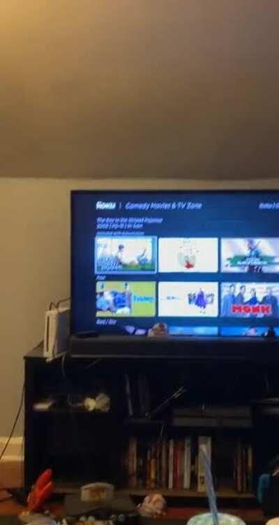 Hey Roku I have several questions