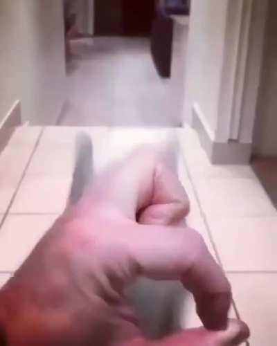 Pupper doesn't quite have the hang of the 