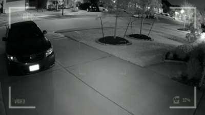 NO es screamer REPITO NO es screamer