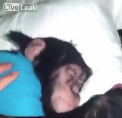 Found this on YouTube and I just had to post it here