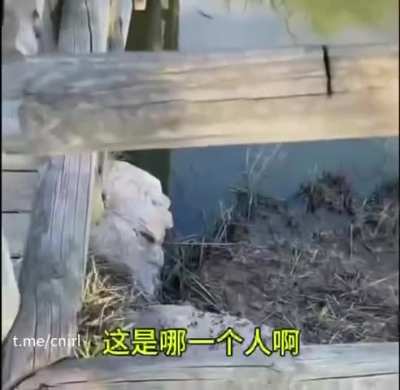 这是哪个中国人没素质，跑到人家西班牙的农村来扔垃圾。