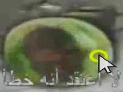 أمازون. فاكهة. نتحدث / يتحدث حيوان فاكهة حيوان مضحك يتحدث فاكهة حيوان يتحدث. فاكهة للأطفال يتجادلون المرح. y How .t p argu.e