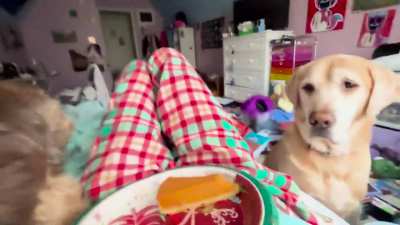 this doesn't really have a place anywhere else sooo